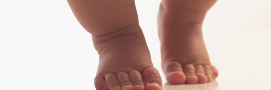Baby Steps: The Journey From Vision to Reality of Church On Purpose